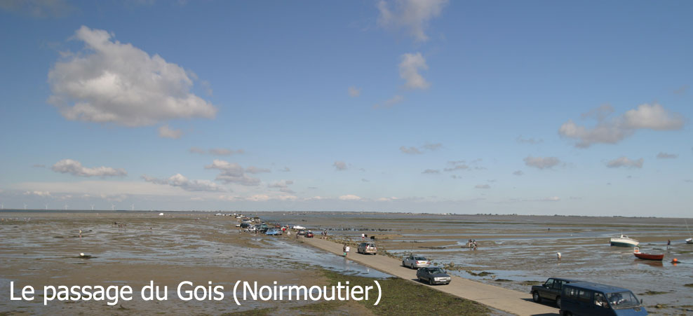 A voir à proximité : Noirmoutier - le passage du Gois